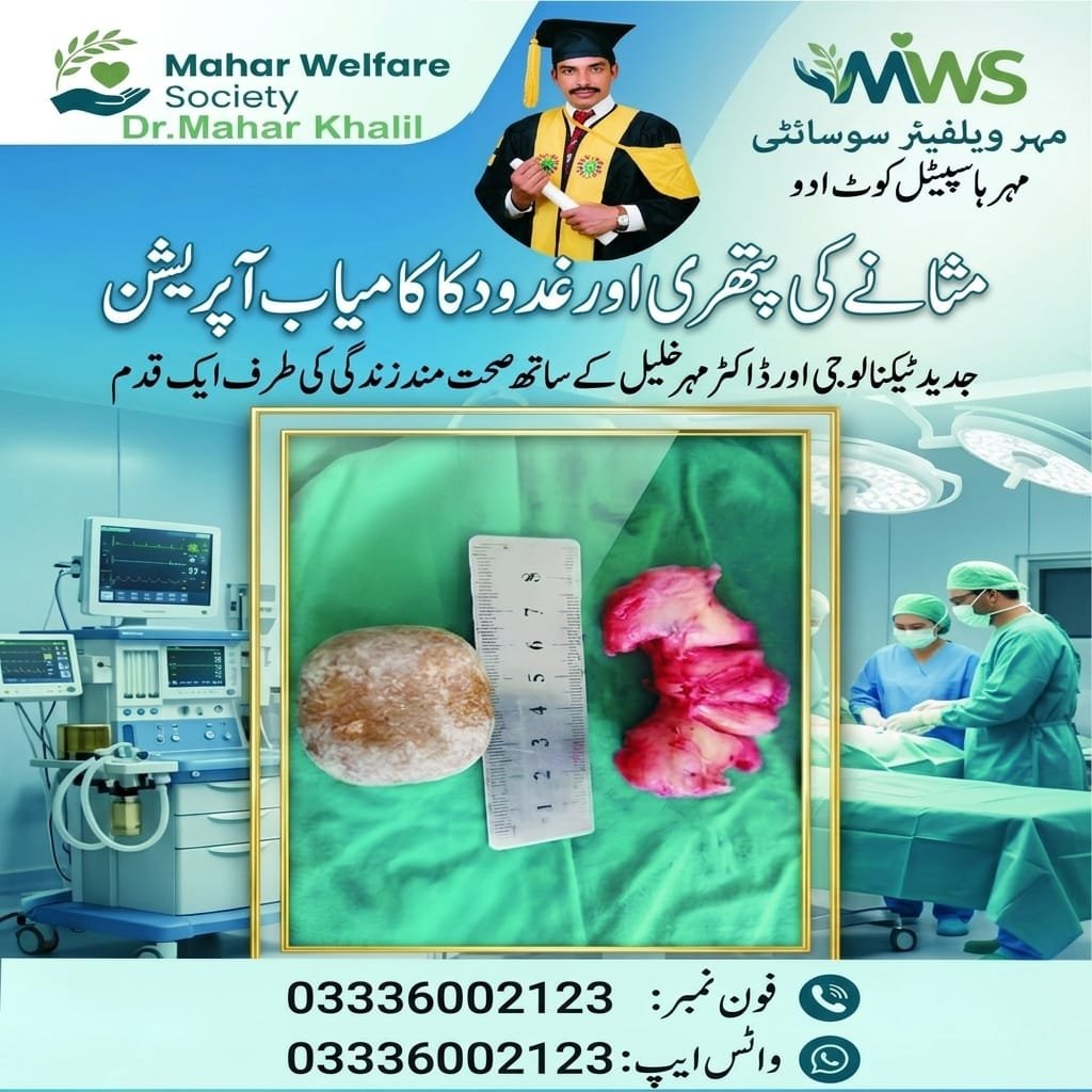 whatsapp image 2026 05 11 at 5.28.27 am